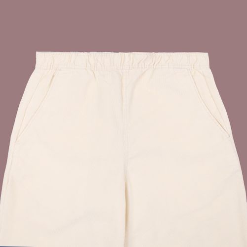 Брюки мужские Dickies Chase City Pant артикул:DK0A4YSAF901 - купить в магазине Дайс