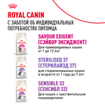 Сухой корм Royal Canin Protein Exigent для привередливых взрослых кошек от 1 года 10кг