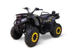 Квадроцикл бензиновый MOTAX GRIZLIK W200