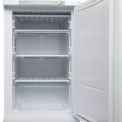 Морозильник Indesit SFR 100