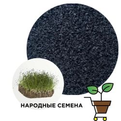 Лук шнитт (семена)