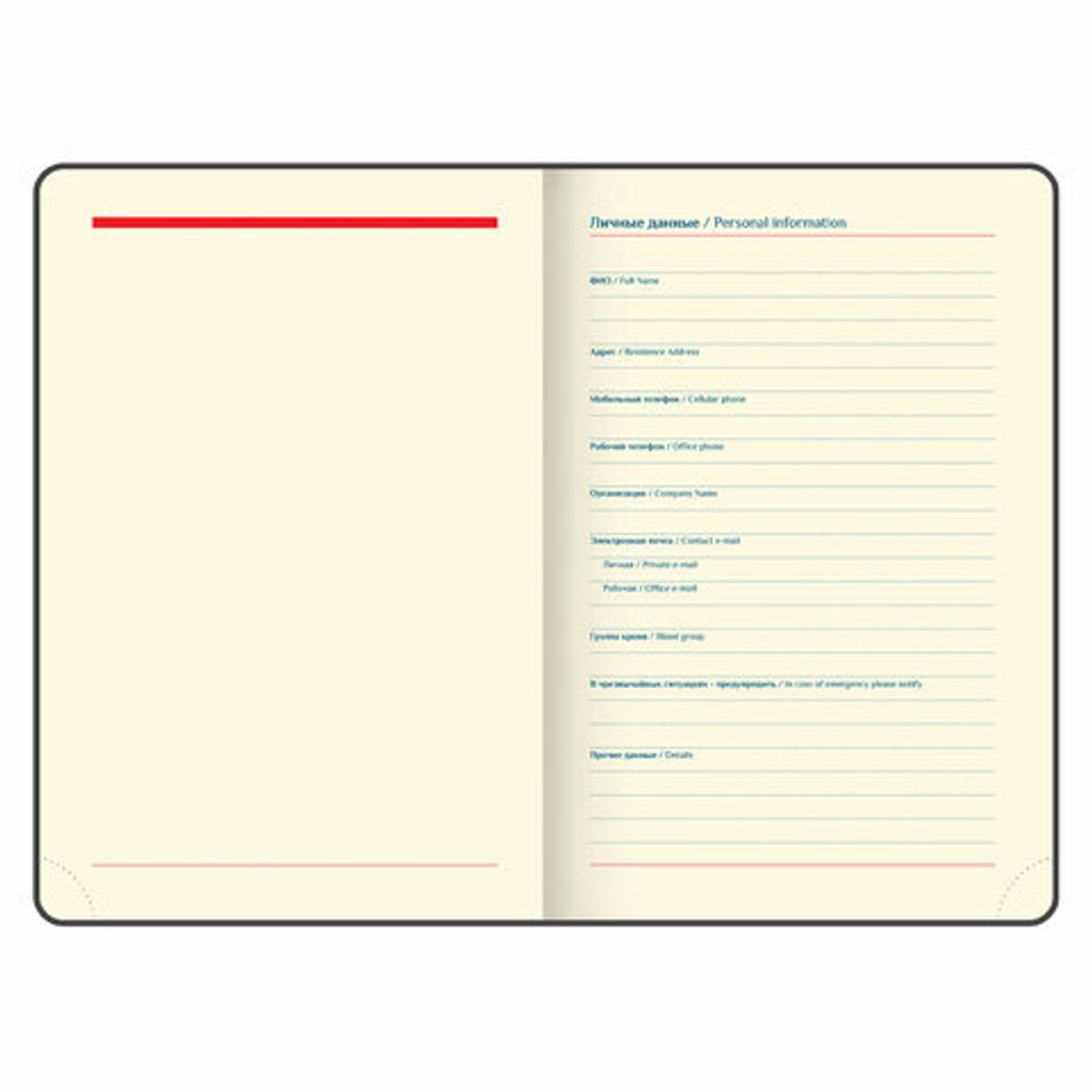 Ежедневник датированный 2025 А5 148х218 мм GALANT "Infinity Silver", под кожу, бежевый, 115725