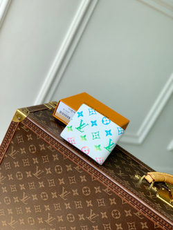 Louis Vuitton Multiple Wallet