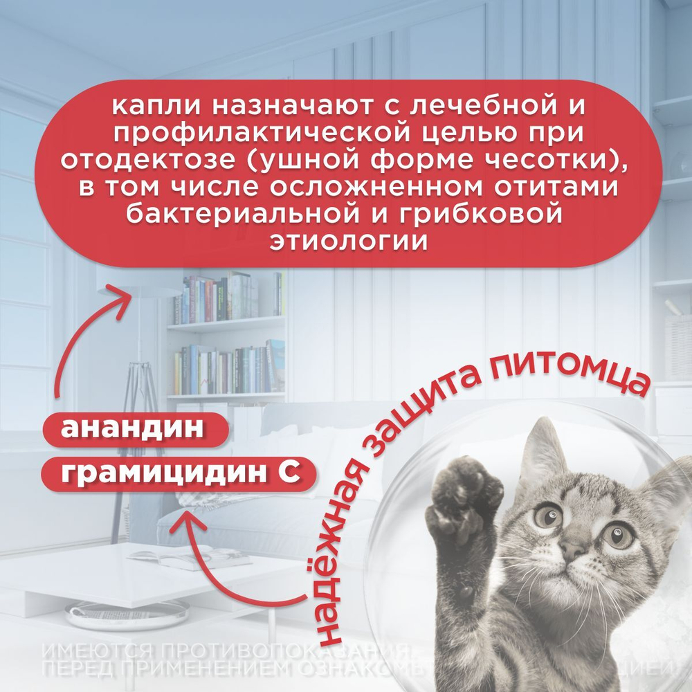 Капли ушные АВЗ Анандин противовоспалительные для собак и кошек, 5 мл