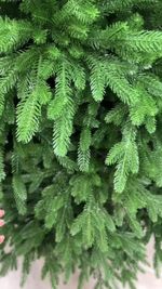 Ель искусственная «Лесная красавица» (Литая хвоя) 270 см / 2,7 м