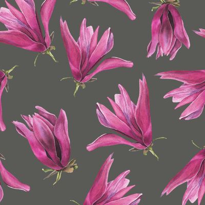 цветы-Магнолия