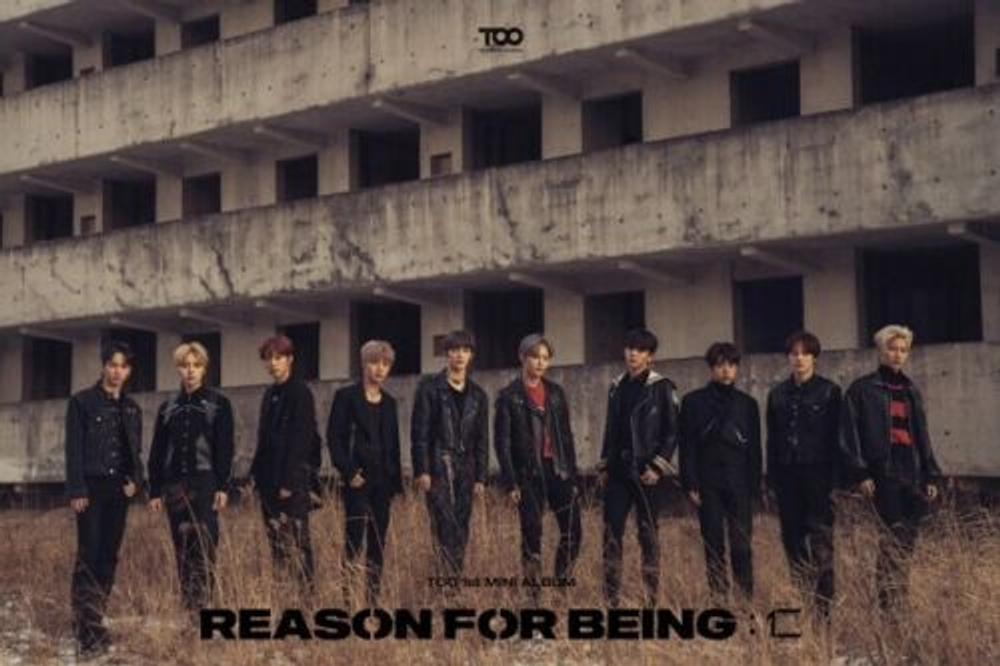 Альбом TOO - Reason For Being 1st Mini Album 2 Version SET