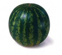 КРИМСТАР F1 семена арбуза (Sakata | Alexagro)