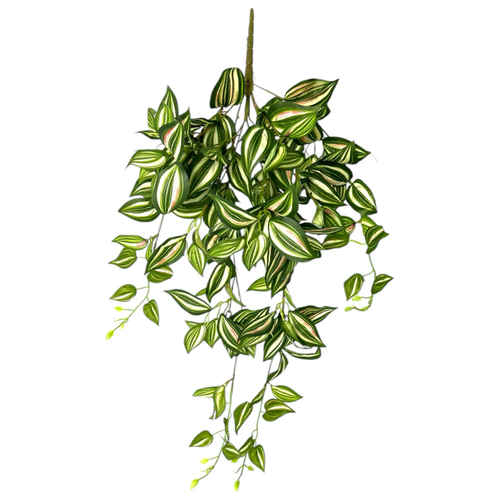 Традесканция зеленая 80 см.