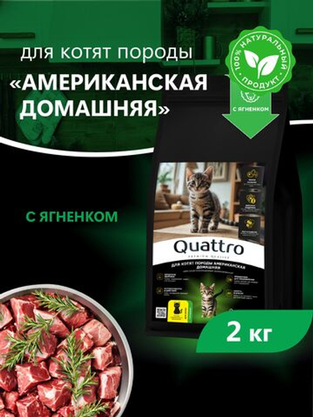 Корм сухой для котят породы Американская домашняя, с ягненком, 2кг, QUATTRO