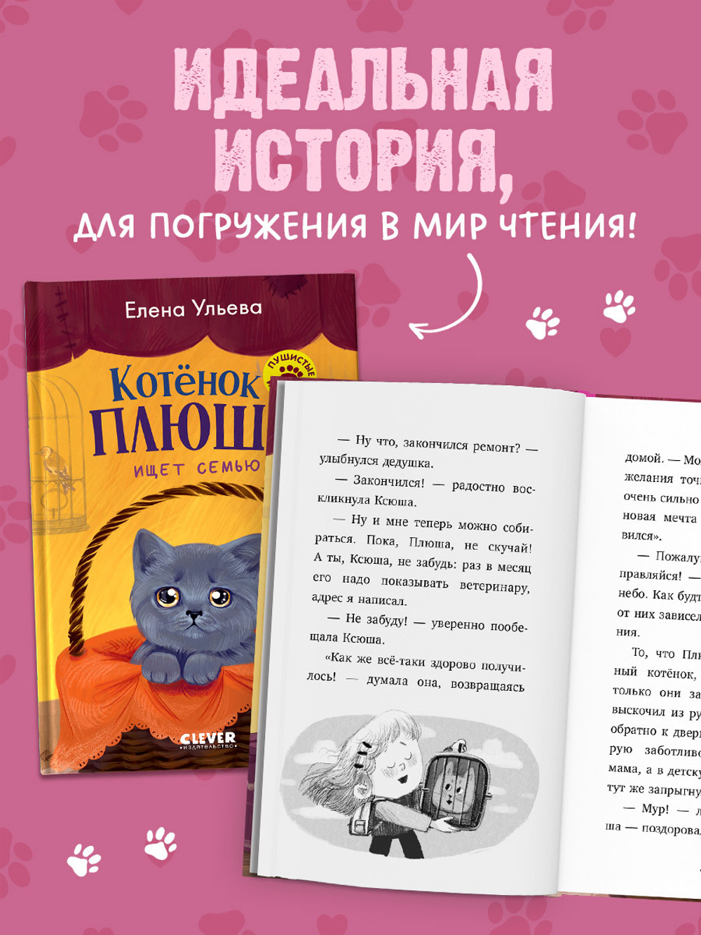 Пушистые истории. Котенок Плюша ищет семью