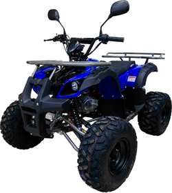 Квадроцикл MOTAX ATV Grizlik-8 125