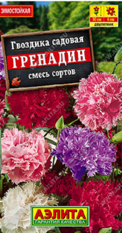 Гвоздика садовая Гренадин, смесь сортов