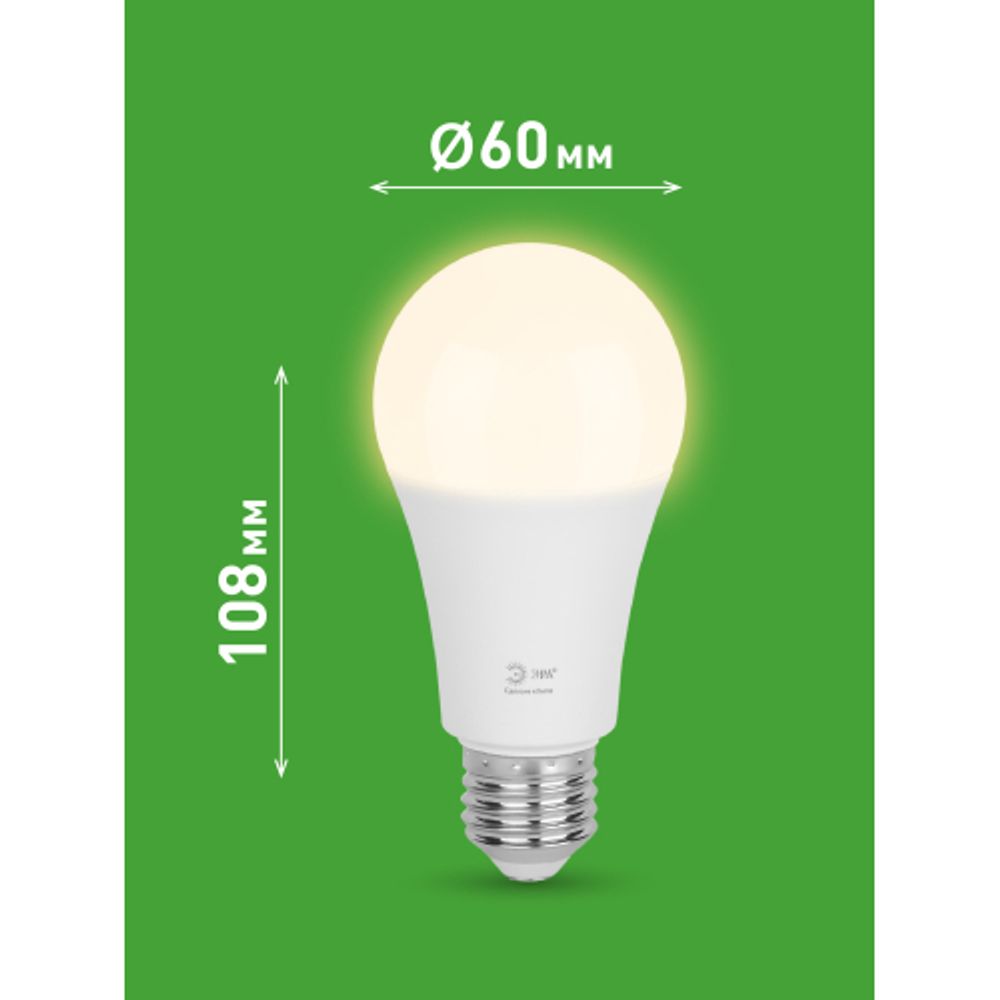 Лампа светодиодная ЭРА GREEN LINE LED A60-25W-830-E27 GL 25Вт груша теплый свет E27 | Лампы cветодиодные Груша (A)