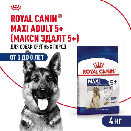 Royal Canin Maxi Adult 5+ Макси Эдалт Корм сухой для взрослых собак крупных пород старше 5 лет 4кг