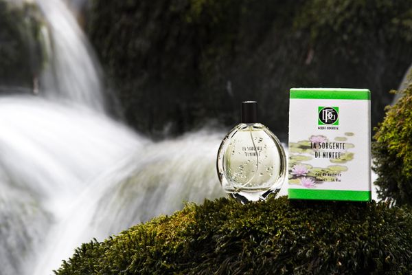 DFG1924 La Sorgente di Ninfee