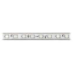 Светодиодная лента ЭРА LS5050-14,4-60-220-RGB-IP67-20m многоцветная | Светодиодные ленты 220В и аксессуары