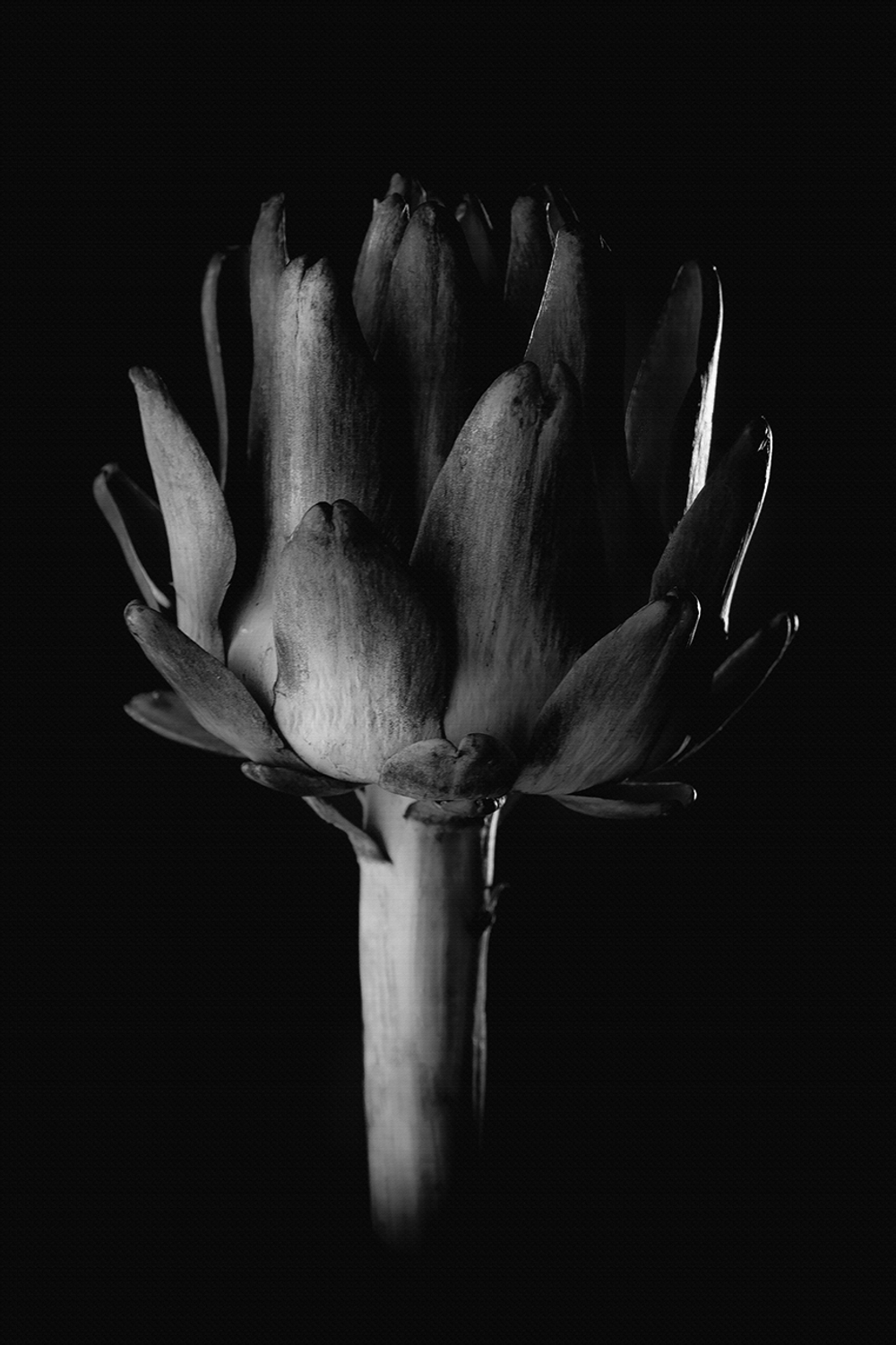 Коллекция MENS SET