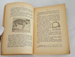 "Этюды оптимизма : С портр. автора и 27 рис". 1917г.