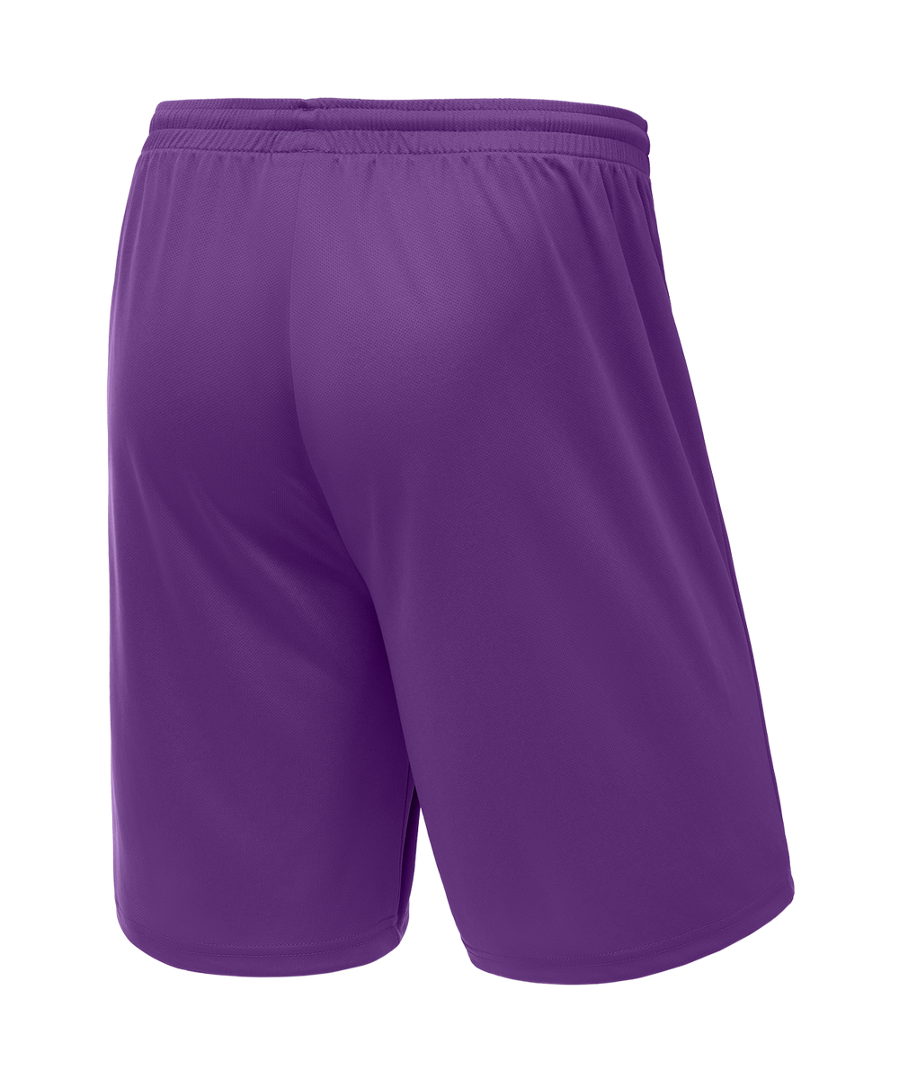 Шорты баскетбольные Camp Basic, фиолетовый, детский