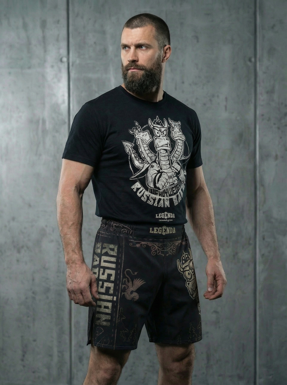 Комплект "Горыныч 2"