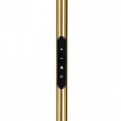 Торшер Eglo CASTELPOTO 1 901975