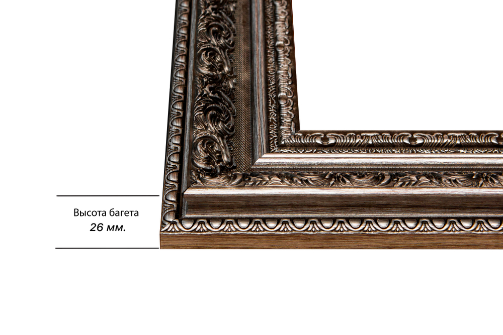 Рама 30x80 для картин и фотографий RP0442458-12