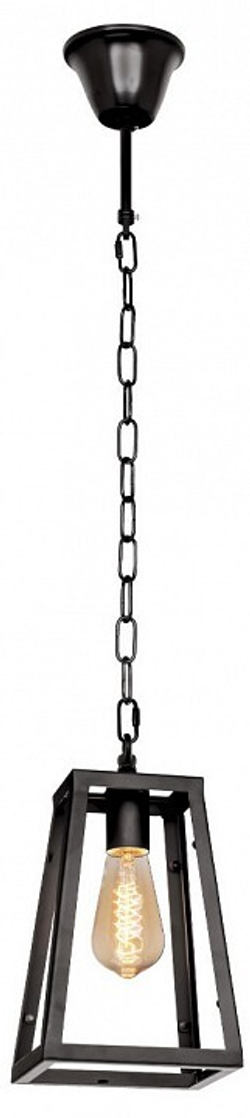Подвесной светильник Loft it Modern Filament LOFT1127