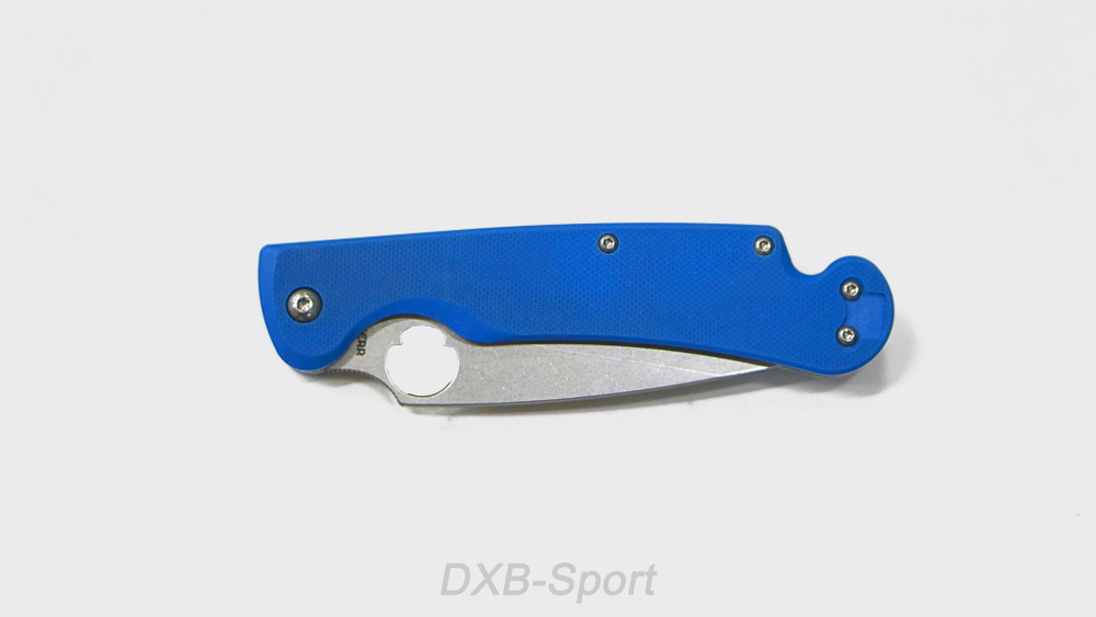 Daggerr Sting Blue SW