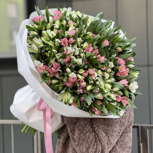 Букет из 101 белой и розовой альстромерии "Blush Harmony"