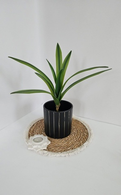 Листья цимбидиум / Арт 6301