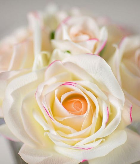 Светло-розовый букет из 5 роз в прозрачной вазе, Cote Noire