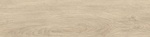 Керамогранит Baltic_GT Светло-бежевый 19,8x80 GT208021207MСR