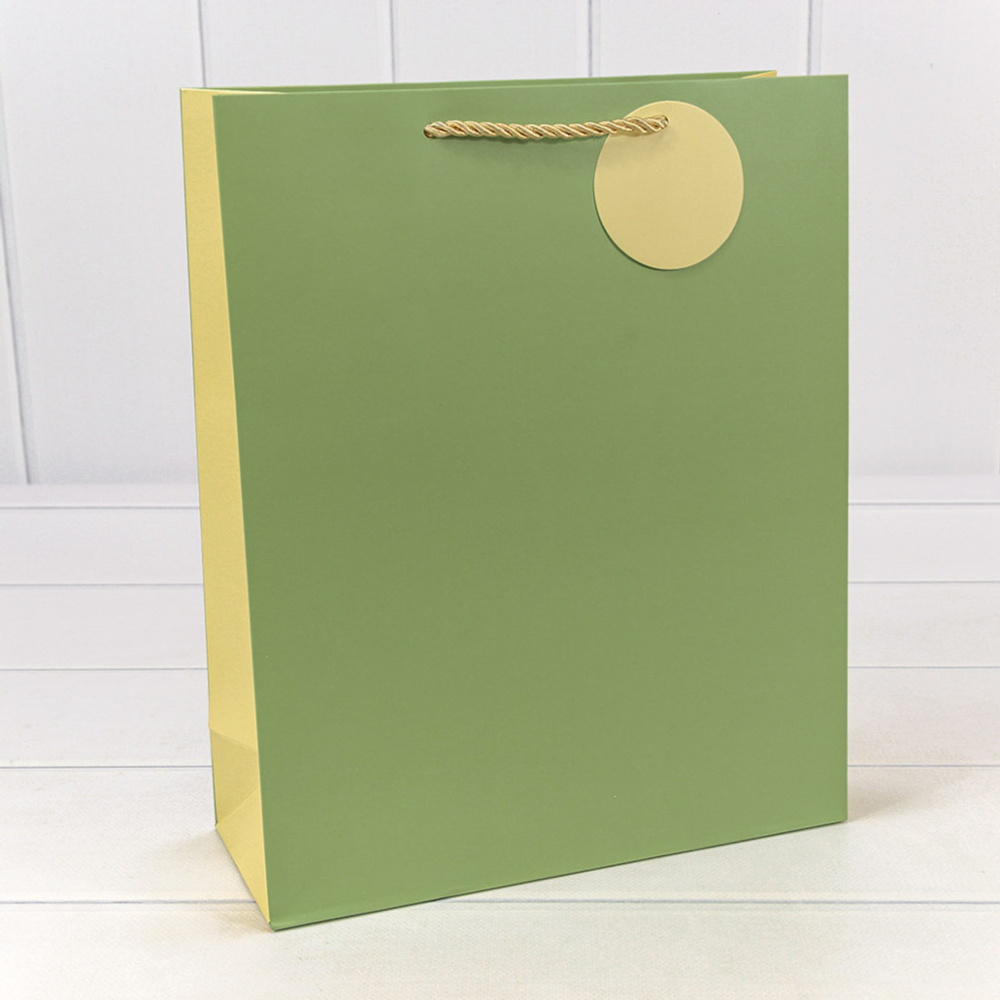 Пакет подарочный 26х32х10см Премиум (Зеленый)