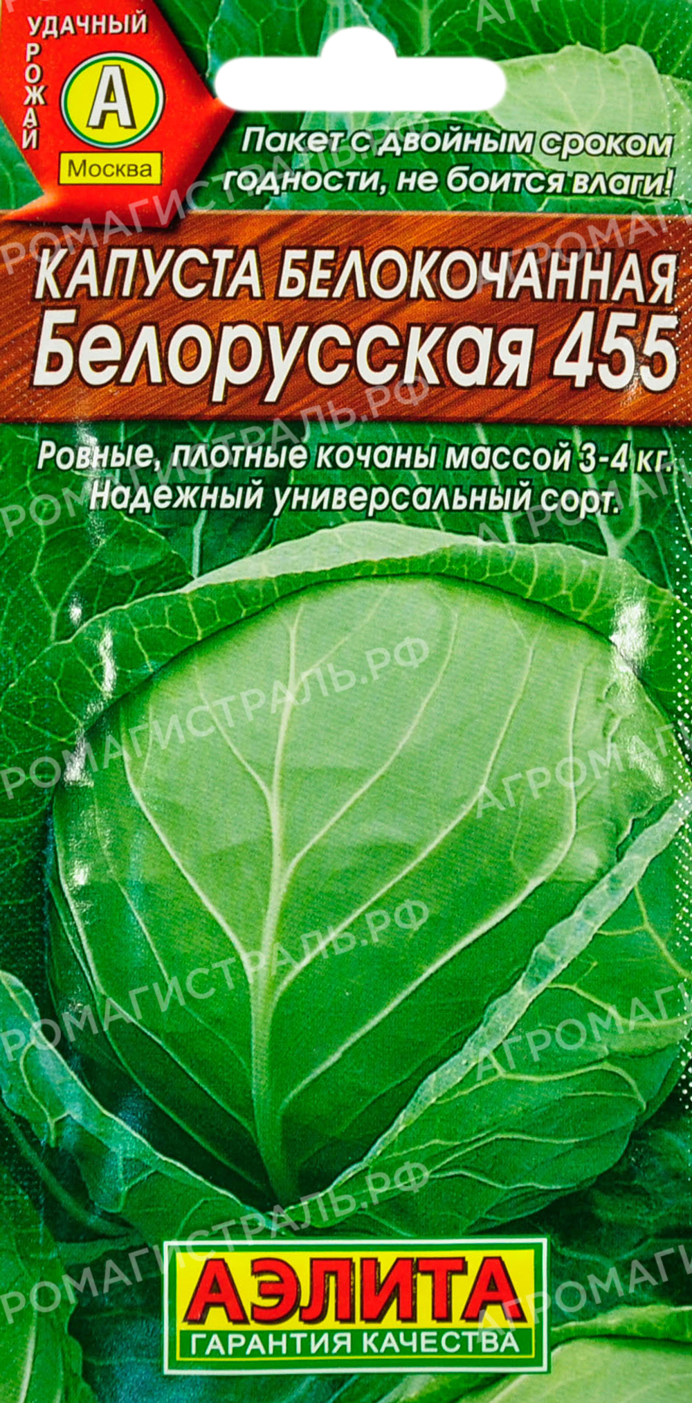 Капуста Белорусская Аэлита Ц