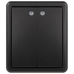Выключатель ЭРА Эксперт 11-1205-05 двойной с подсветкой IP20 10АХ-250В ОУ антрацит | Эра Эксперт