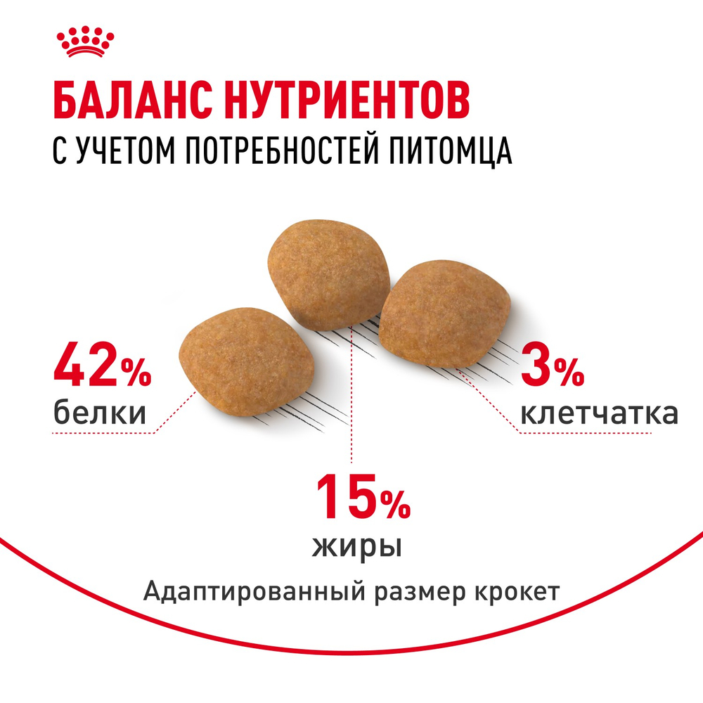 Royal Canin Protein Exigent Протеин Экзиджент Корм сухой для взрослых кошек привередливых к белку в составе старше 1 года 400г