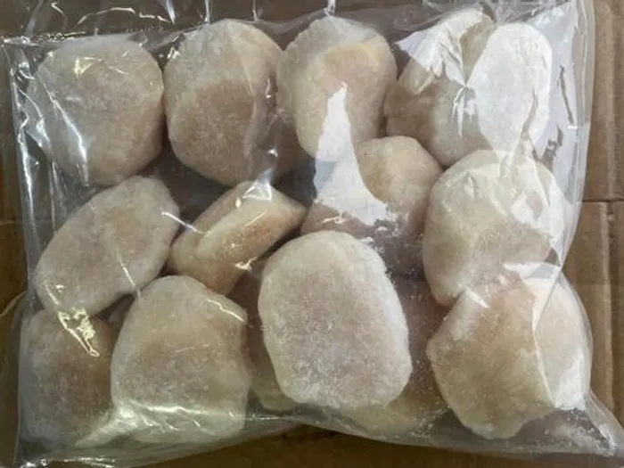 Морской Гребешок крупный  (1/15)