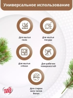 HausHerz Хозяйственное мыло жидкое с ароматом хвои 5 л