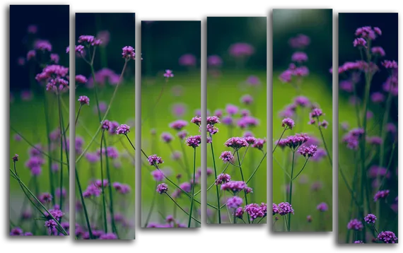 Модульная картина "Полевые цветы"