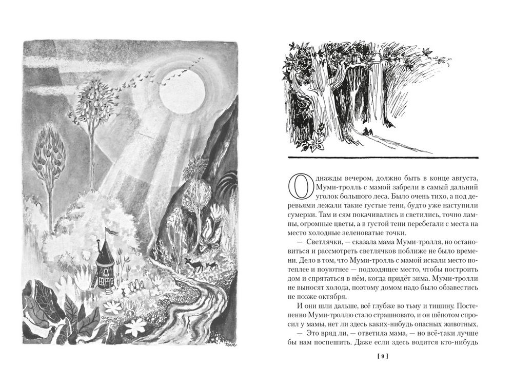 Книга Шляпа Волшебника. Муми-тролли и все-все-все. Книга 1