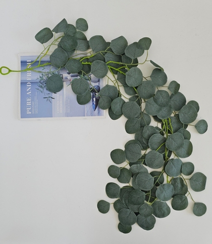 Эвкалипт лиана / Арт 4355