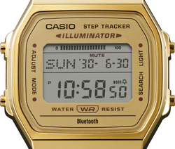 Часы Casio ABL-100WEG-9A