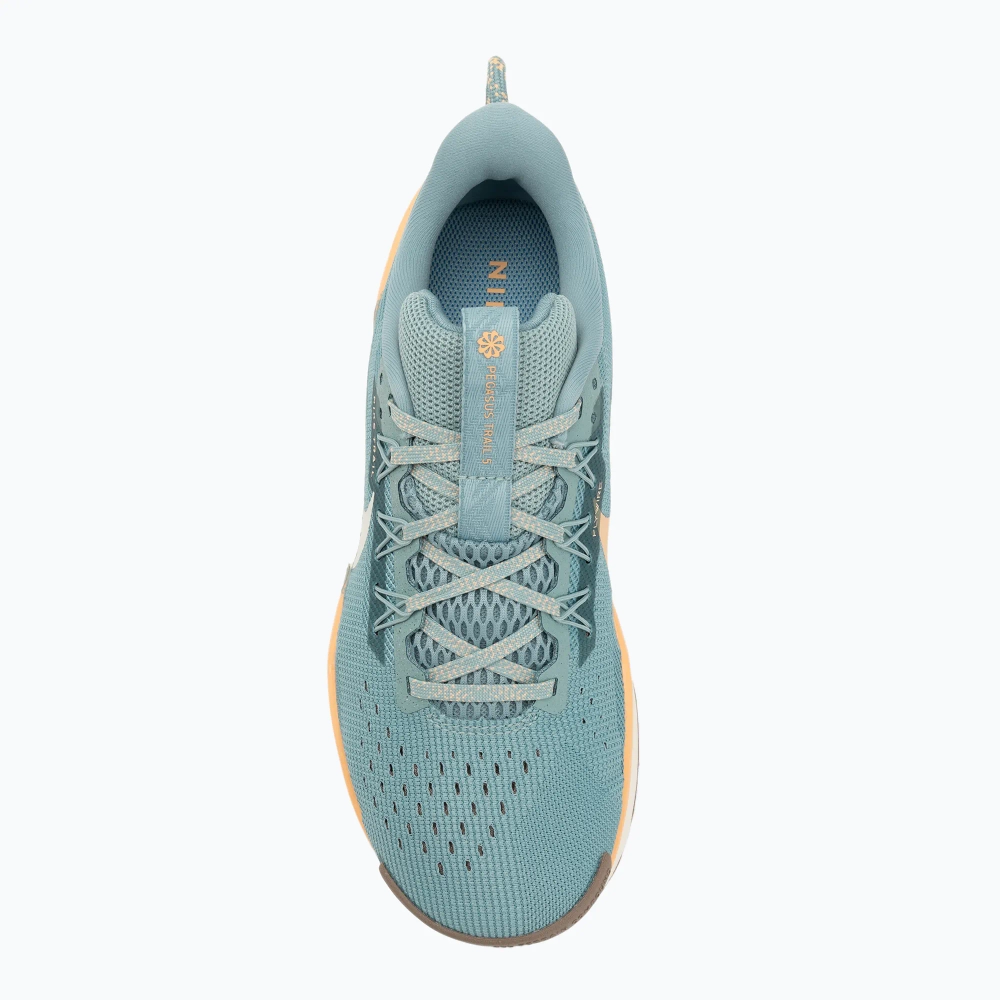 Женские Кроссовки для бега Nike Pegasus Trail 5 cannon/soft pearl/mink brown