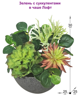 Искусственная Зелень с суккулентами 35см в чаше Лофт