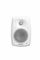 Genelec 4020CXM