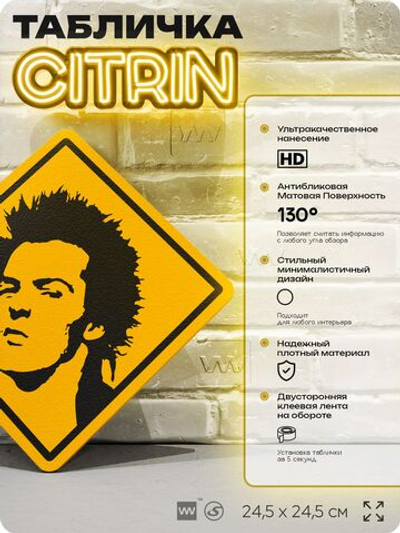 Табличка декоративная "Сид Вишес, Sid Vicious, Sex Pistols" на дверь и стену, прикольная штука в подарок, декоративный знак, 24,5х24,5 см, пластиковая, Айдентика Технолоджи