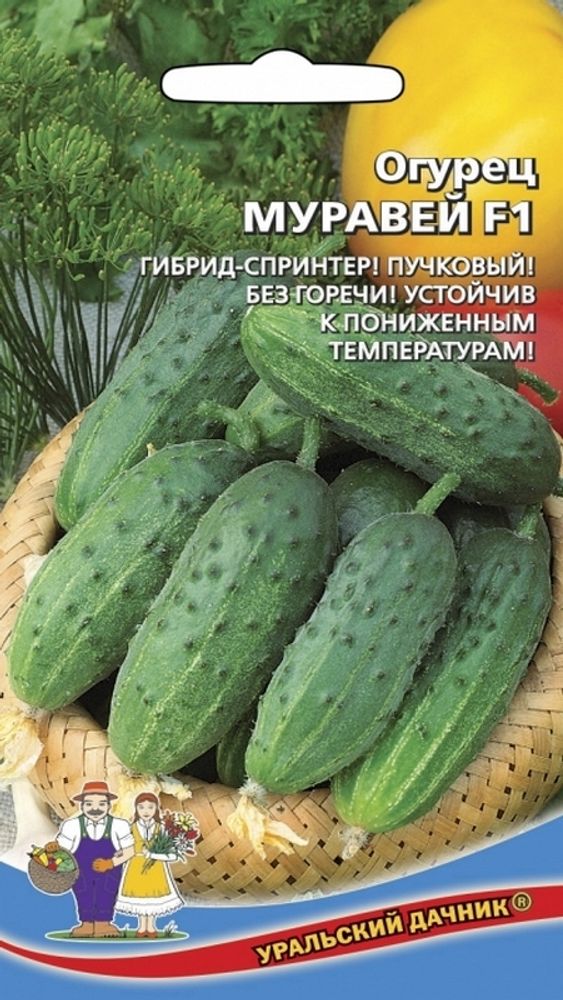 Огурец &quot;G. Муравей F1&quot; 10шт., Россия.