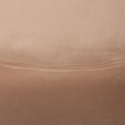 Стул CINDY SOFT (mod. C1021F1-1) велюр/дерево бук, 55 х 48 х 83 см, коричневый HLR12 / натуральный (Комплект из 4 шт.)