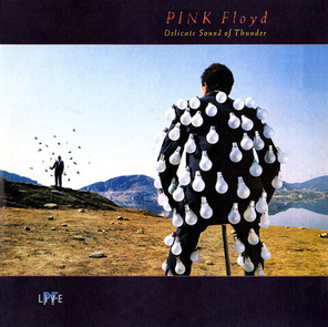 Pink Floyd / Delicate Sound Of Thunder (2LP)